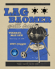 LagBaOmer Party