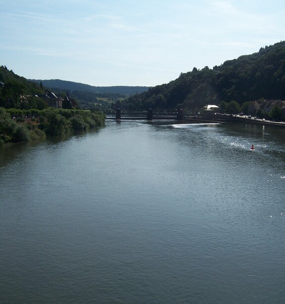 Neckar