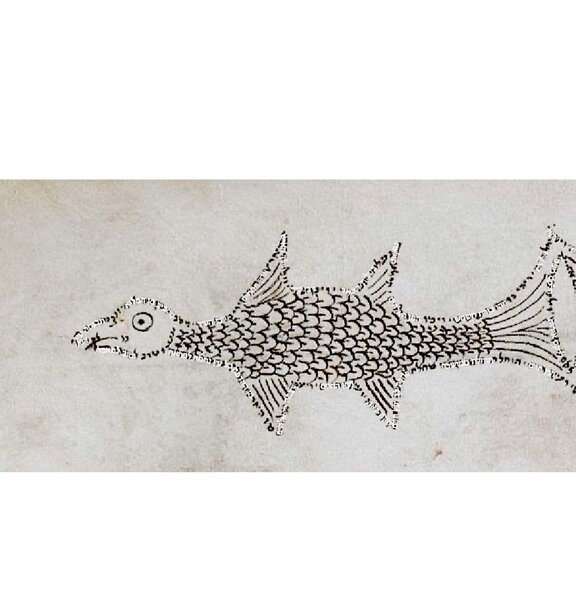 Fische, British.Library.Or.2091__251r