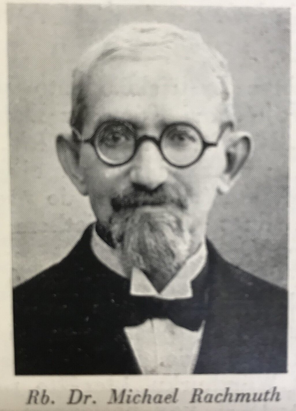 Porträt Michael Rachmuth