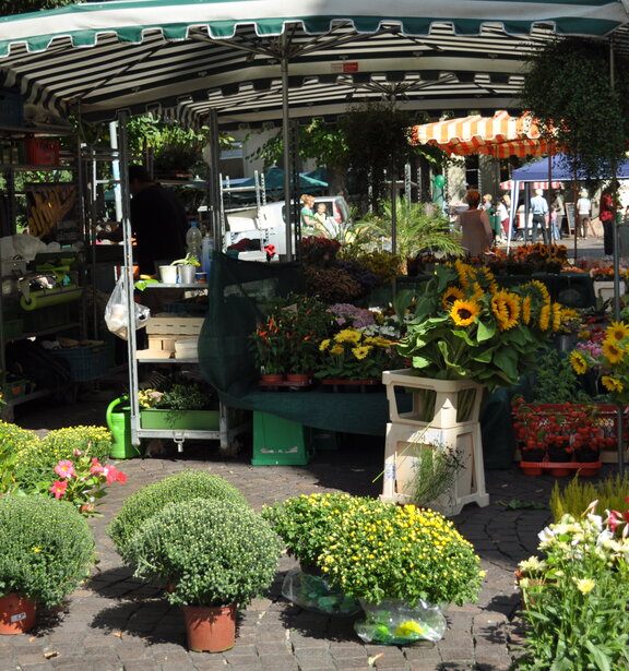 Wochenmarkt Heidelberg