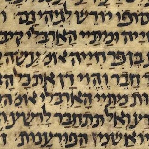 Kaufmann Manuscript