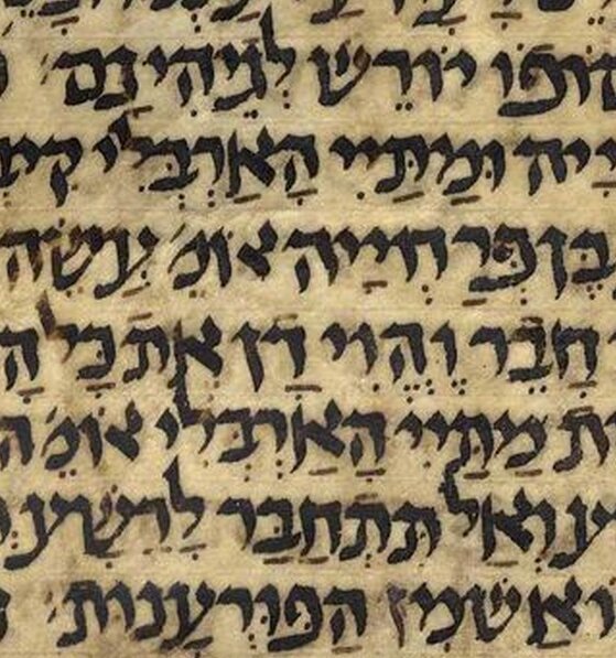 Kaufmann Manuscript