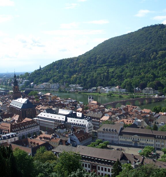 Blick auf Heidelberg