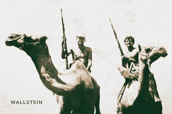 Cover von "Hier ist nicht Europa"